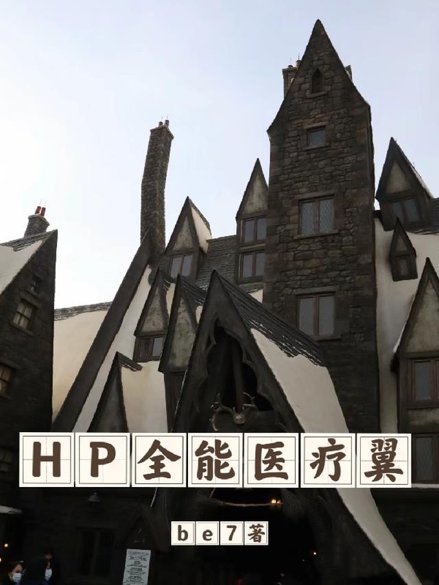 hp最强医疗翼txt