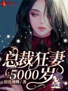 总裁5000次