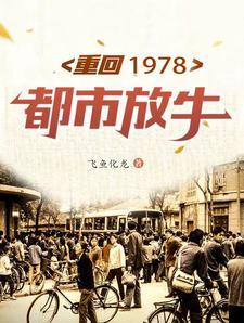 重回1978得间