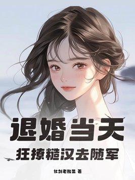 退婚流的