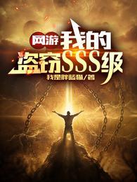 网游我的盗窃SSS级 第502章