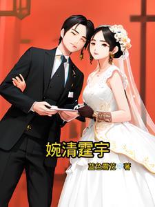 女主婉清